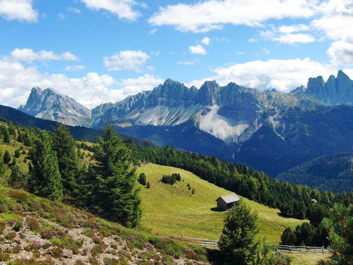 Mountain Residence Alpenhof - Company Hotel Alpenhof Kg Sas Der Gasser Renate 布列瑟农 外观 照片