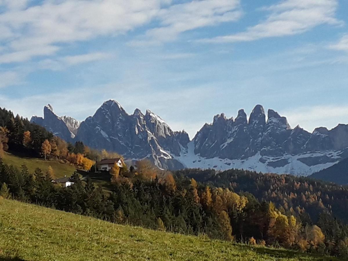 Mountain Residence Alpenhof - Company Hotel Alpenhof Kg Sas Der Gasser Renate 布列瑟农 外观 照片
