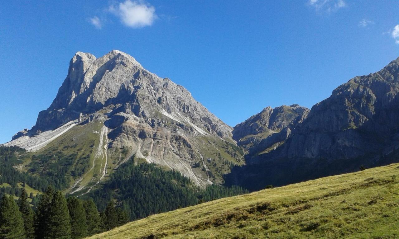 Mountain Residence Alpenhof - Company Hotel Alpenhof Kg Sas Der Gasser Renate 布列瑟农 外观 照片