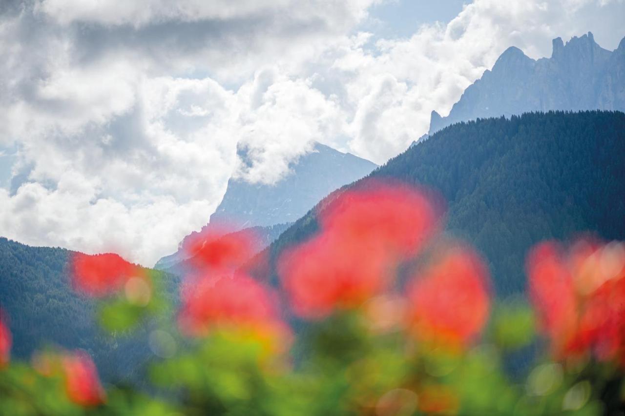 Mountain Residence Alpenhof - Company Hotel Alpenhof Kg Sas Der Gasser Renate 布列瑟农 外观 照片
